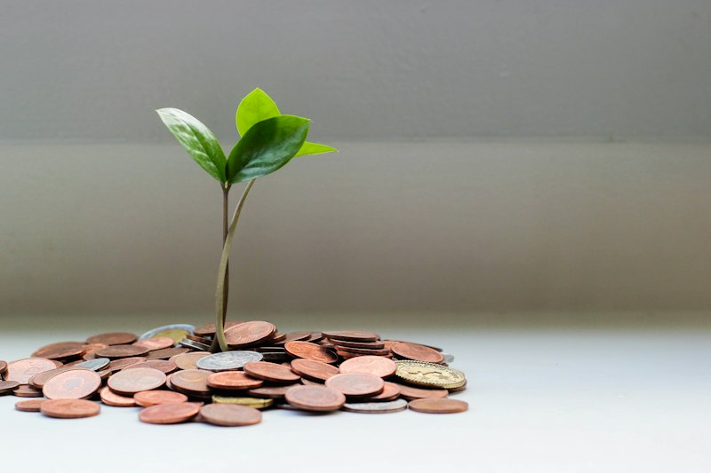 Finance growth